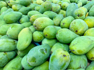 mangoes on display at the market, mango fruit, mango wallpaper, background.