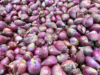 red onion forms a background, wallpaper.