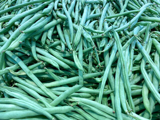 green beans, collection green beans, background,wallpaper.