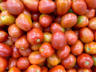 tomato, fresh tomato, background, wallpaper