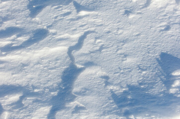 The snow is white and the ground is covered in it