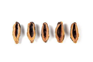 dried betel nuts snack isolated on white background.