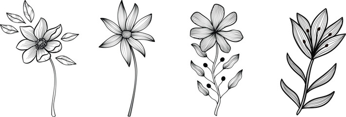 Black and white line art various flowers with branch and leaves. Luxury vintage floral collection for tattoo, wedding invitation, wallpaper art, logo or card. Botanical vector illustration