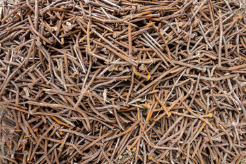 Pile of Rusty Nails from Construction on Concrete Surface