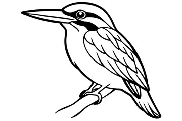 Fototapeta premium Black And White Kingfisher Bird Line Art, Kingfisher Bird Outline Illustration