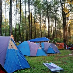 camping in the forest