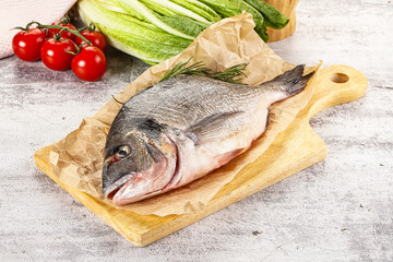 Raw dorada fish served rosemary