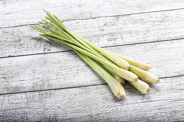 Lemongrass - Asian aroma plant for cooking