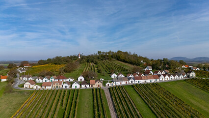 Drohnenaufnahme der Kellergasse Wildendürnbach, im Vordergrund herbstlich verfärbte Weinreben
