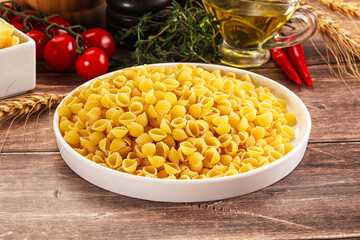 Italian cuisine - dry conchiglie pasta
