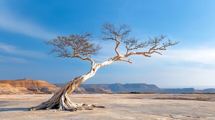 The dead tree stands tall and proud in the desolate desert, its gnarled branches reaching out like skeletal arms against the harsh, unforgiving landscape