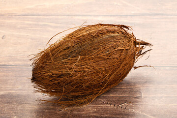 Natural exotic brown hairy coconut