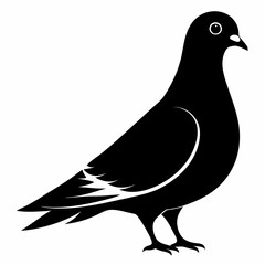 Pigeon Silhouette Vector Illustration. Black Design White Background