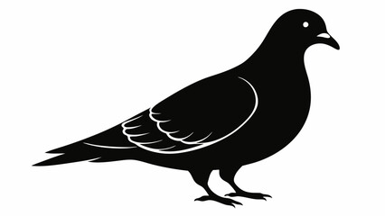 Pigeon Silhouette Vector Illustration. Black Design White Background