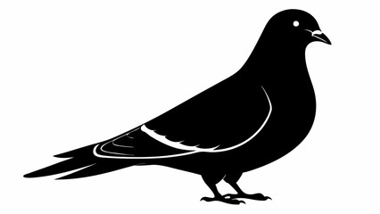 Pigeon Silhouette Vector Illustration. Black Design White Background