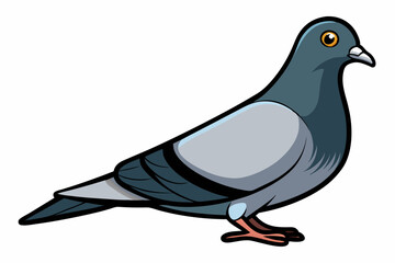 Colorful Pigeon Vector Illustration Isolated on White Background