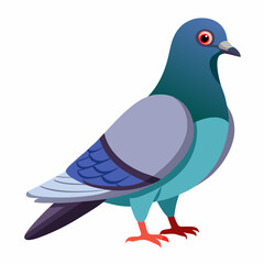 Colorful Pigeon Vector Illustration Isolated on White Background