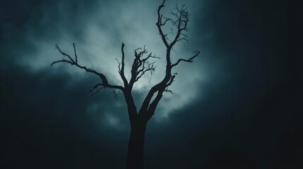 Silhouette of a Dead Tree Against a Stormy Sky