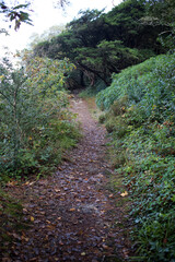 Lough Leane - Muckross house estate - Killarney - Co. Kerry - Republic of Ireland