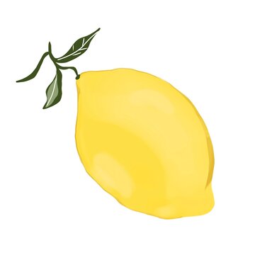 lemon fruit icon on white background