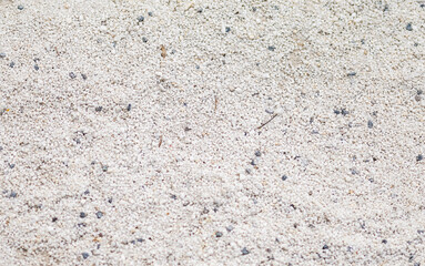 Close-up view of pale sand texture. The pale sand on the beach reflects the afternoon sunlight, showcasing a textured surface with small stones and bits of debris scattered throughout.