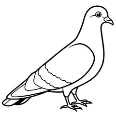 Pigeon Line Art Vector Illustration, Pigeon silhouette Isolated on White Background
