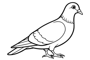 Pigeon Line Art Vector Illustration, Pigeon silhouette Isolated on White Background