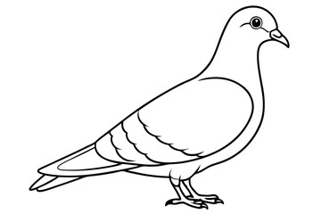 Pigeon Line Art Vector Illustration, Pigeon silhouette Isolated on White Background