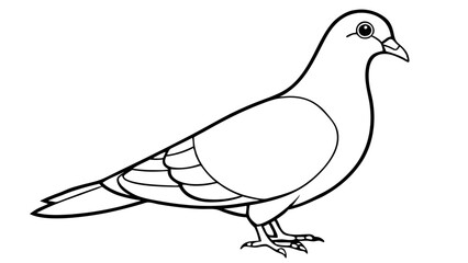 Pigeon Line Art Vector Illustration, Pigeon silhouette Isolated on White Background