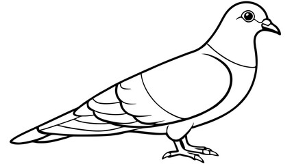 Pigeon Line Art Vector Illustration, Pigeon silhouette Isolated on White Background