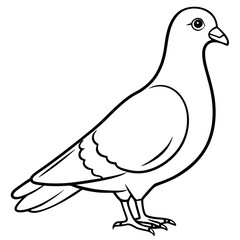 Pigeon Line Art Vector Illustration, Pigeon silhouette Isolated on White Background