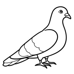Pigeon Line Art Vector Illustration, Pigeon silhouette Isolated on White Background