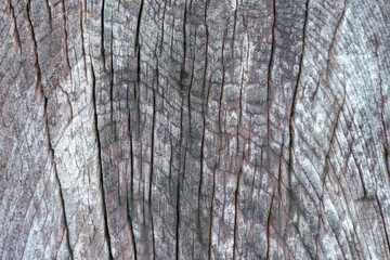 old wood texture
