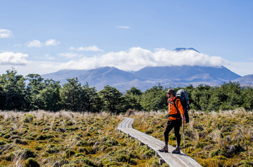 Naklejka premium hiker trekking in alpine area with mountain backdrop