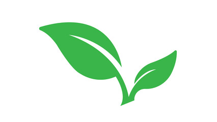 green leaf isolated on white background