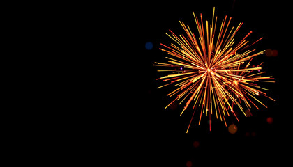 Fototapeta premium Fireworks burst in the night sky, painting it with colorful explosions of light