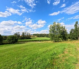 Field of grass, summer trip, travel photography from hiking. Sunny summer landscape with green...