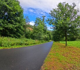 Empty morning road with grass and trees under the summer blue sky and white clouds. Hiking in the nature, travel photo. Green landscape, road, plants and trees.