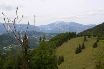 Wedrujac po gorach.