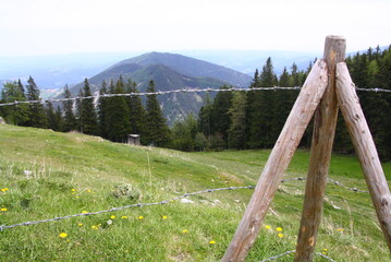 Wedrujac po gorach.