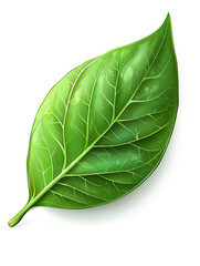 Obraz premium A detailed close-up of a vibrant green leaf with intricate vein patterns, highlighting its natural elegance, set against a white background.