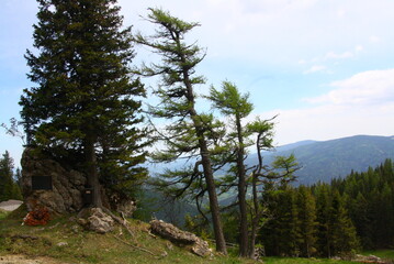 Wedrujac po gorach.