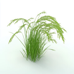 Fototapeta premium Hyper-realistic 3D Illustration of Rice Plant