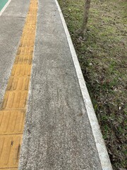A concrete pathway with a tactile guide for visually impaired individuals.