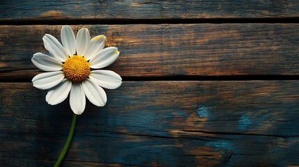 Obraz premium Flower Blooming on Wooden Background with Natural Texture Image