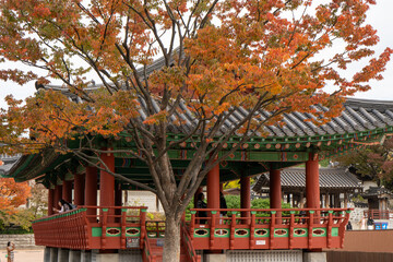 temple in japan