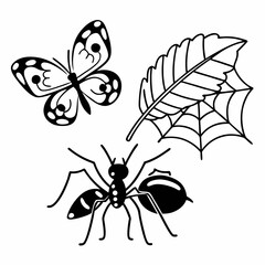 set of black and white insects