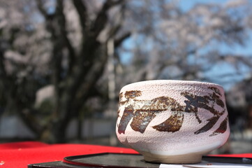 【京都】醍醐寺の桜