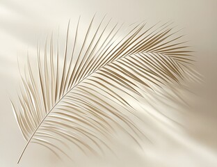 Elegant beige palm frond casting a shadow on a neutral background. Minimalist botanical image ideal for design projects, websites, or print media.