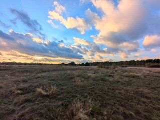 sunset over the field